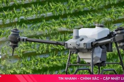 Giấy phép điều khiển phương tiện bay hạng B mở ra cơ hội nghề nghiệp lĩnh vực UAV