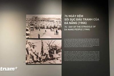 Bảo tàng Đà Nẵng - hành trình chạm vào ký ức thành phố bên sông Hàn