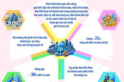 Đến năm 2045: Khu vực kinh tế có vốn đầu tư nước ngoài đóng góp 30% GDP cả nước