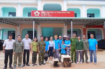 Đồng Nai: Người dân cứu hộ, bàn giao 2 cá thể vượn má vàng quý hiếm