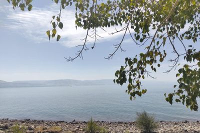 Nước ngọt trở thành đòn bẩy ngoại giao mới trong quan hệ Israel - Jordan