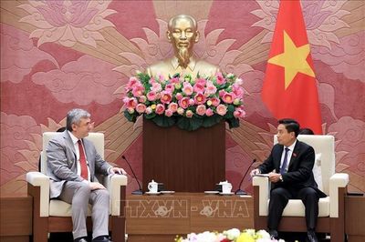 Phát triển thực chất, bền vững quan hệ chiến lược Việt Nam - Liên bang Nga