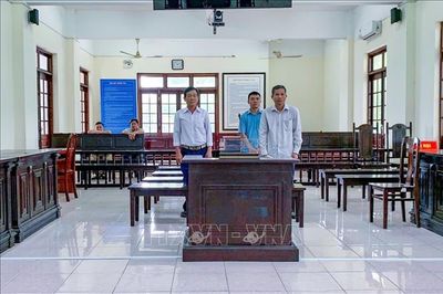 Làm hồ sơ kiểm dịch 'ảo' cho lợn bệnh, ba đối tượng nhận cái kết đắng