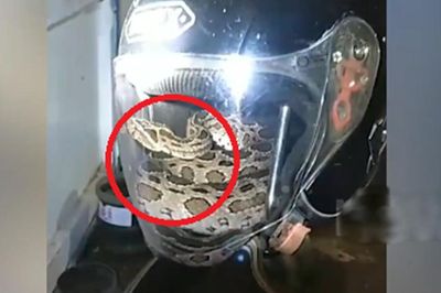 Tan ca trong đêm, người đàn ông giật mình trước cảnh tượng 'lạnh sống lưng' trên xe máy