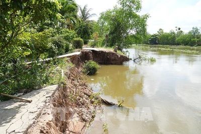 Đồng Tháp chạy đua ngăn sạt lở giữa cao điểm mùa mưa