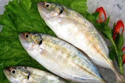Những loại cá bình dân nhưng làm nên tinh hoa ẩm thực miền Trung