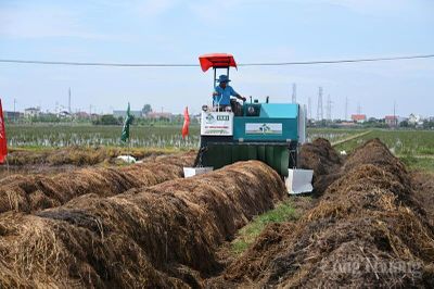Khởi động chuỗi lúa xanh, mô hình tốt cho kinh tế tuần hoàn