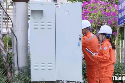 Tỷ lệ cấp điện ổn định trong mùa cao điểm tại khu vực Sầm Sơn đạt 98%