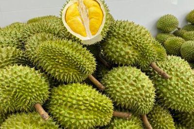 Xuất khẩu sầu riêng tăng mạnh, vì sao giá trong nước vẫn lao dốc?