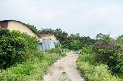 Bắc Ninh: Bắt hai người nước ngoài thuê đất nuôi nhốt động vật nguy cấp