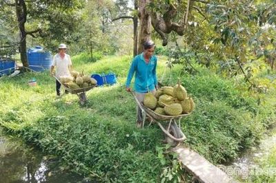 Đồng Tháp: Có 1 cơ sở kiểm nghiệm Cadimi, Vàng O được Tổng cục Hải quan Trung Quốc chấp thuận