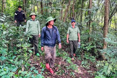 Những người 'trả nợ' cho rừng