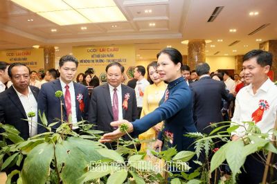 Tạo động lực thúc đẩy phát triển kinh tế - xã hội, bứt phá thực hiện mục tiêu tăng trưởng 2 con số