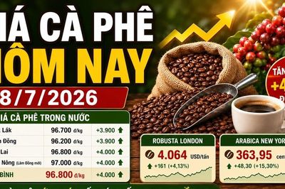 Giá cà phê hôm nay 8/7 tăng 4.000 đồng/kg, thị trường bứt phá mạnh