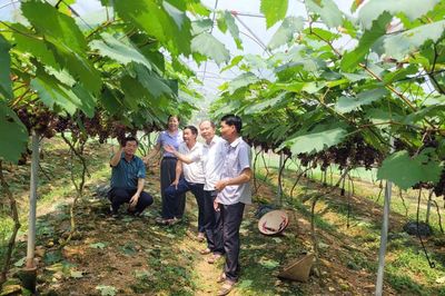 Tiềm năng du lịch trải nghiệm ở Phúc Thuận