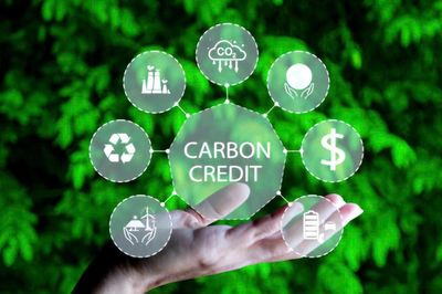 Tín chỉ carbon: Chạy đà trước khi 'vươn biển lớn'