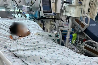 Viêm não Nhật Bản 'vào mùa', cách nào phòng bệnh hiệu quả?