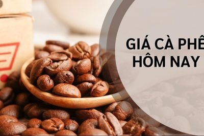 Ngày 8/7: Giá cà phê tăng kỷ lục, hồ tiêu neo ở mức 135.000 đồng/kg