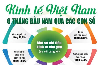 Infographics: Những điểm sáng kinh tế Việt Nam 6 tháng đầu năm qua các con số