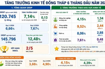 Đồng Tháp xếp thứ 2 vùng ĐBSCL về tăng trưởng GRDP