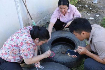 Chủ động ngăn ngừa nguy cơ dịch bệnh sốt xuất huyết