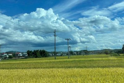 Thời tiết các khu vực trong tỉnh ngày 9/7, có mưa rào và dông vài nơi, ngày trời nắng gián đoạn
