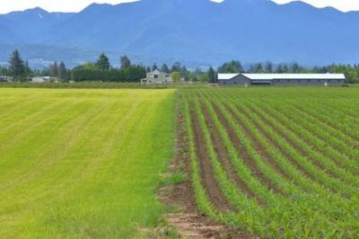 'Land sparing' hay 'land sharing' sẽ mở ra hướng đi bền vững cho nông nghiệp?