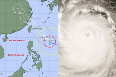 Dự báo bão Bavi khi đổ bộ còn mạnh hơn cả bão Yagi năm 2024