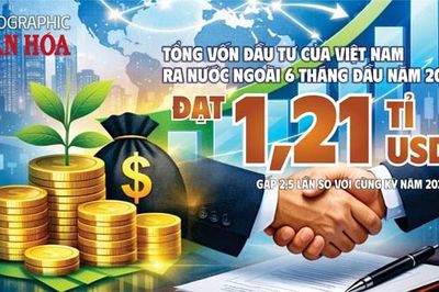 Việt Nam đầu tư ra nước ngoài đạt 1,21 tỉ USD sau 6 tháng
