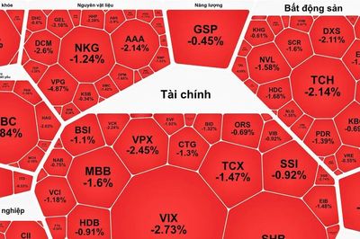VN-Index giảm, chứng khoán 'đỏ sàn'