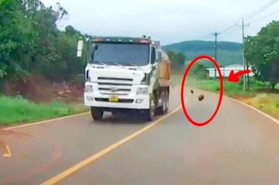 Xử phạt tài xế để đá rơi vãi sau phản ánh qua VneTraffic