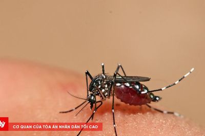 Người đàn ông 27 tuổi tử vong do sốt xuất huyết