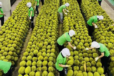 Đề xuất lập tổ điều hành cấp Chính phủ cho mục tiêu 100 tỷ USD