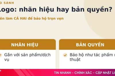 Doanh nghiệp có thể đăng ký bản quyền logo công ty ở đâu?