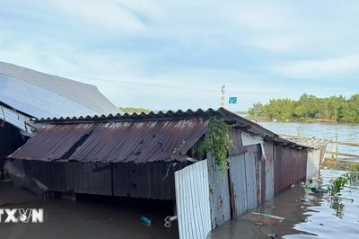 Cà Mau: Thiên tai từ đầu năm tới nay gây thiệt hại ước tính hơn 25 tỷ đồng