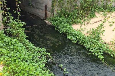 Đắk Lắk: Nguy cơ ô nhiễm môi trường từ kênh mương thoát nước