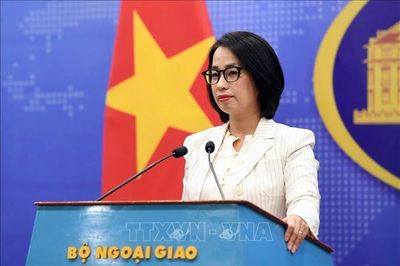 Họp báo Bộ Ngoại giao: Dấu mốc trong nỗ lực mở rộng mạng lưới FTA của Việt Nam