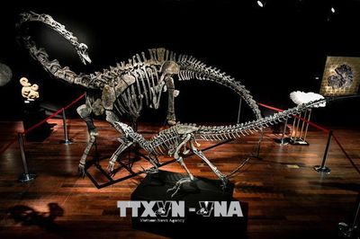 Thái Lan phát hiện loài khủng long cổ dài mới có niên đại 150 triệu năm