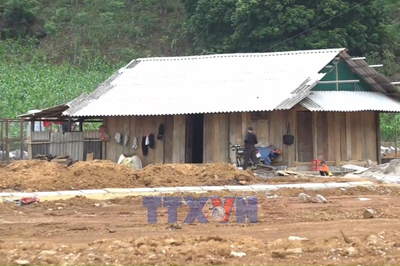 Cần sớm hoàn thành dự án di dân khẩn cấp Suối Lóp