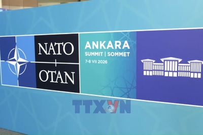 NATO công bố mức tăng chi tiêu quốc phòng của châu Âu