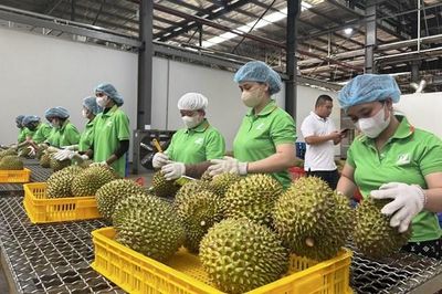 Lập 'lá chắn' liên ngành bảo vệ chuỗi giá trị sầu riêng