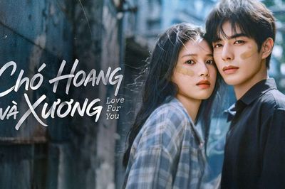 Chó Hoang Và Xương lập kỷ lục rating mở màn năm 2026