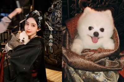 10 điểm nổi bật về cốt truyện và diễn viên phim Bách Hoa Sát