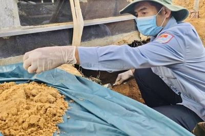 Ngược thời gian đi tìm đồng đội
