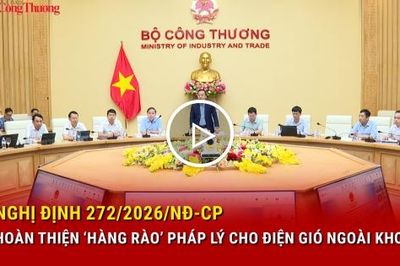 Nghị định 272/2026/NĐ-CP hoàn thiện 'hàng rào' pháp lý cho điện gió ngoài khơi