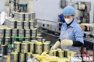 Tạo môi trường thuận lợi để kinh tế tư nhân phát triển