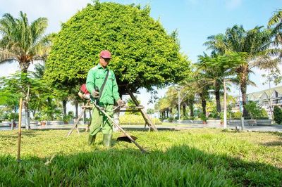 Từ nghị quyết đến hành động ở Rạch Giá