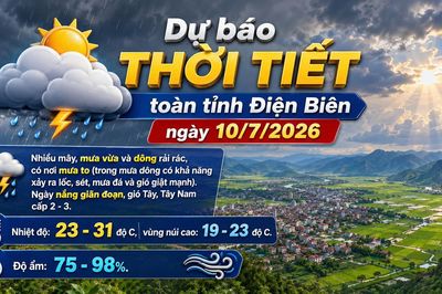 Bản tin Dự báo thời tiết ngày 10/7/2026