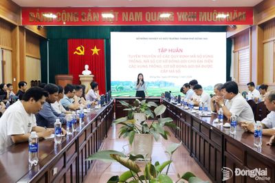Đồng Nai tập huấn quy định mới về mã số vùng trồng, đóng gói xuất khẩu