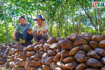 60s Gia Lai: Độc đáo lũy đá cổ Phú Hà